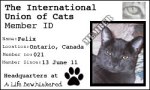 Cat Union Card Felix